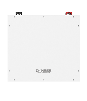 Dyness DL5.0C