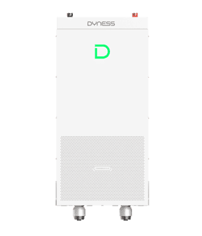 Dyness PowerBrick Plus
